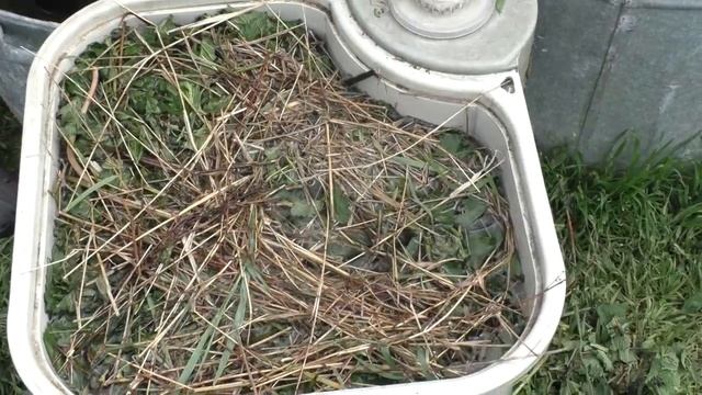 СУПЕР Органическая Подкормка для ТОМАТОВ, ОГУРЦОВ,ПЕРЦА и Других Растений. Домашние советы. смотреть онлайн