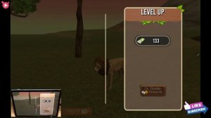 The Lion Simulator: Animal Family Game Android GamePlay