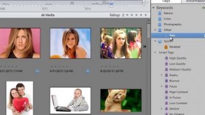 Photoshop Elements 11 Tutorial 2: Organizer Overview