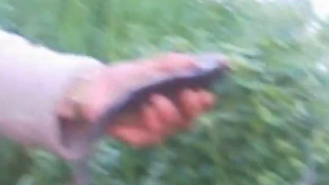 Ловля карася на самаре смотреть онлайн