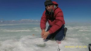Рыбалка на Яркуле, сорога гнет крючки и рвет леску, часть 3