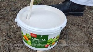 Краска для садовых деревьев