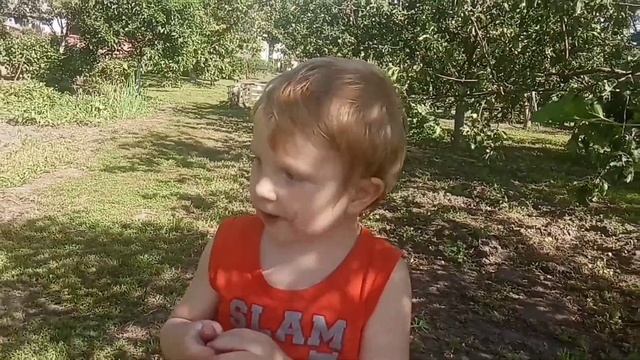 Как мы ехали на дачу ? Едим шелковицу или ягоду здоровья! ? Mulberry смотреть онлайн