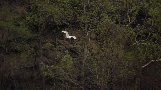 REEL WORLD Vol.7 - #25 Sam Sharp (USA) смотреть онлайн