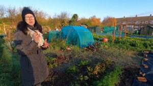 December Allotment Tour - Allium Leaf Miner