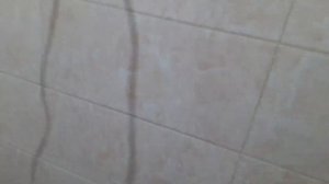 Ведро для затирки плиточных швов.