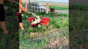 японский мульчер shibaura