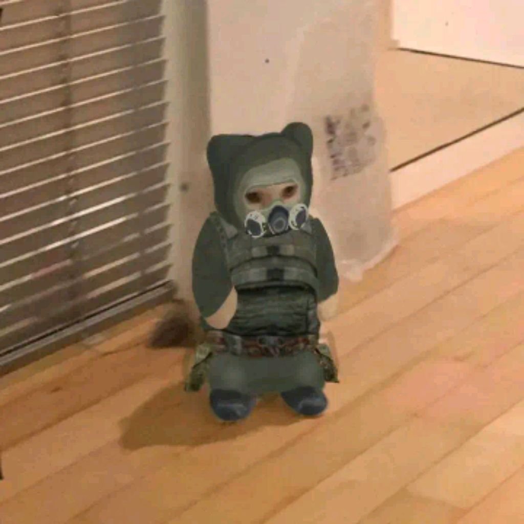 Шоу китееса