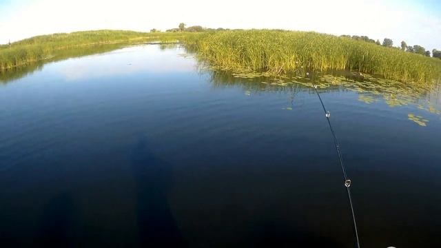 За щукой в конце июля. Клев щуки летом смотреть онлайн