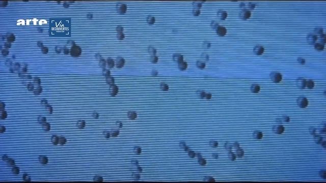 Science of fasting смотреть онлайн