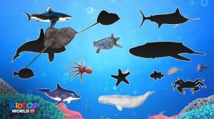 Learn Sea Animal Names - Ocean Animal Videos - Sea Animal Puzzle for Kids