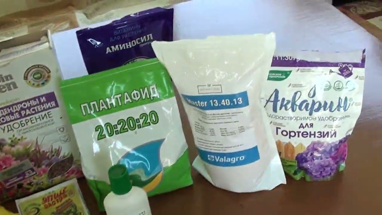 Безупречная схема подкормок для гортензий,что бы они прекрасно развивались и цвели. смотреть онлайн