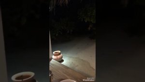 Пьяная Волочкова  на  Мальдивах  2019 г