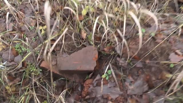 Дом на краю деревни.