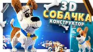 3D КОНСТРУКТОР СОБАЧКА ! Не ЛЕГО, но КЛАССНЫЙ ! Сборка и обзор. #3d #игрушки #конструктор #сборка