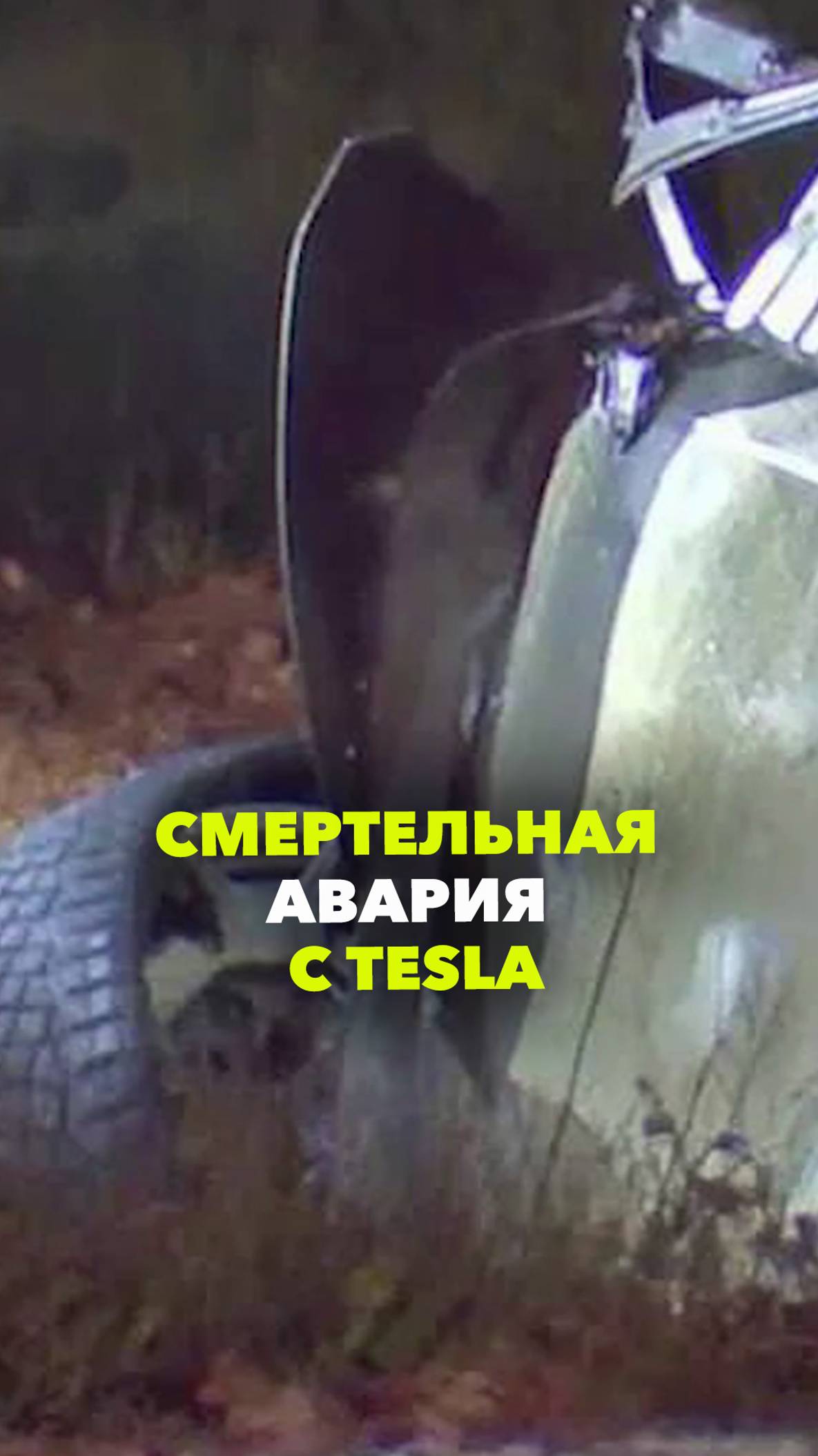 Водитель сгорел заживо: первая смертельная авария с Tesla Илона Маска