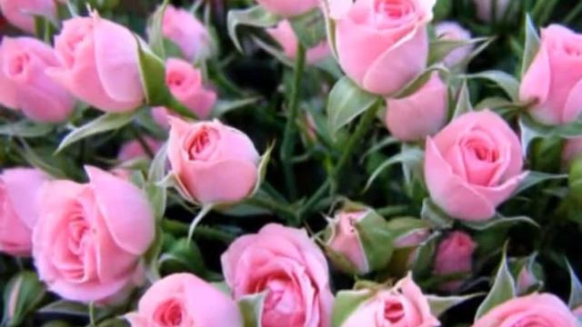 Для моей любимой мамочки!!! смотреть онлайн