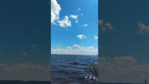 Рыбинское водохранилище. Городище.
