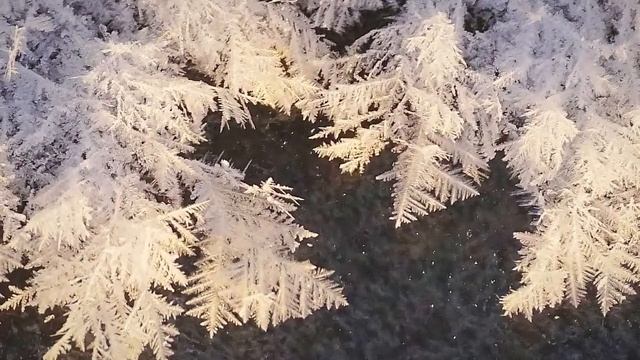 Наука Якутии - Что такое - Кристаллическая изморозь?