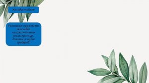 Как растения приспособлены к условиям жизни