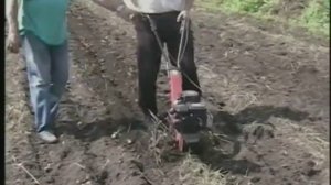 Выкапывание картошки культиватором Евросистемс