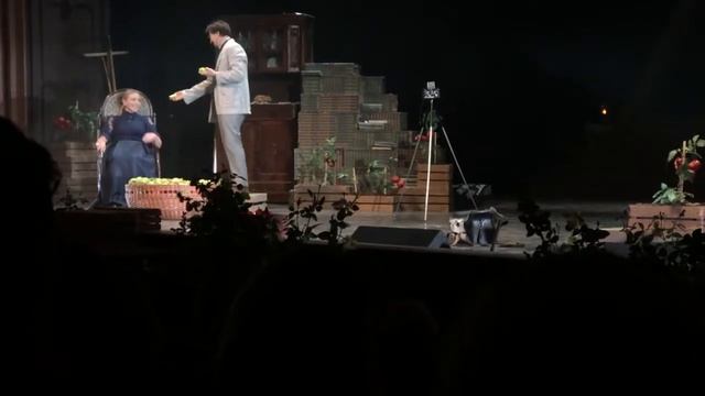 Спектакль Дядя Ваня в театре МГТ Сергея Безрукова смотреть онлайн