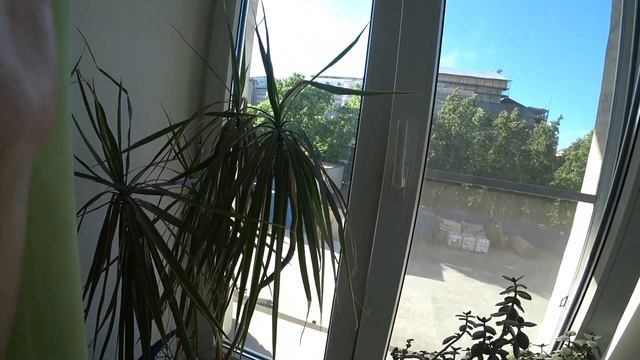 VLOG САНКТ-ПЕТЕРБУРГ! ROOM TOUR! RYM TYR! РУМ ТУР! ДЕНЬ 2! ЧТО ПОСМОТРЕТЬ В ПИТЕРЕ! СТАРИННЫЕ! Ч 2!