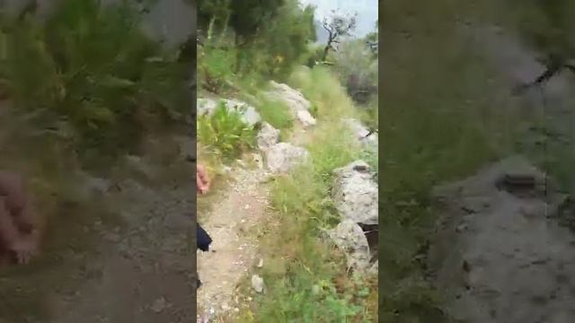 Замин