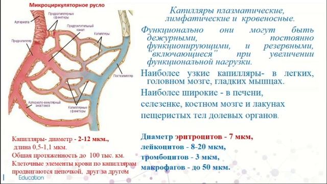 ГЕНЕТИЧЕСКИЙ КОНТРОЛЬ АЛКОГОЛЬНЫЙ ПРОБЛЕМ