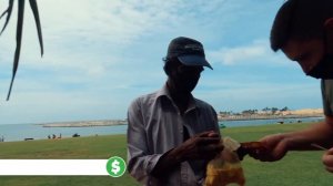 Коломбо, Шри-Ланка: достопримечательности и цены (Тревел Влог)