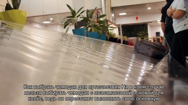 Как правильно выбрать чемодан смотреть онлайн