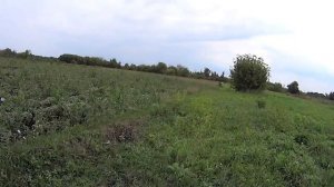 домик в деревне (село Березняговка)