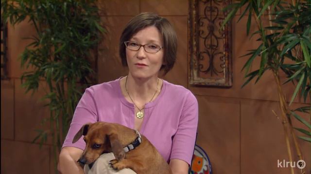 Why do plant leaves yellow |Daphne Richard |Central Texas Gardener смотреть онлайн