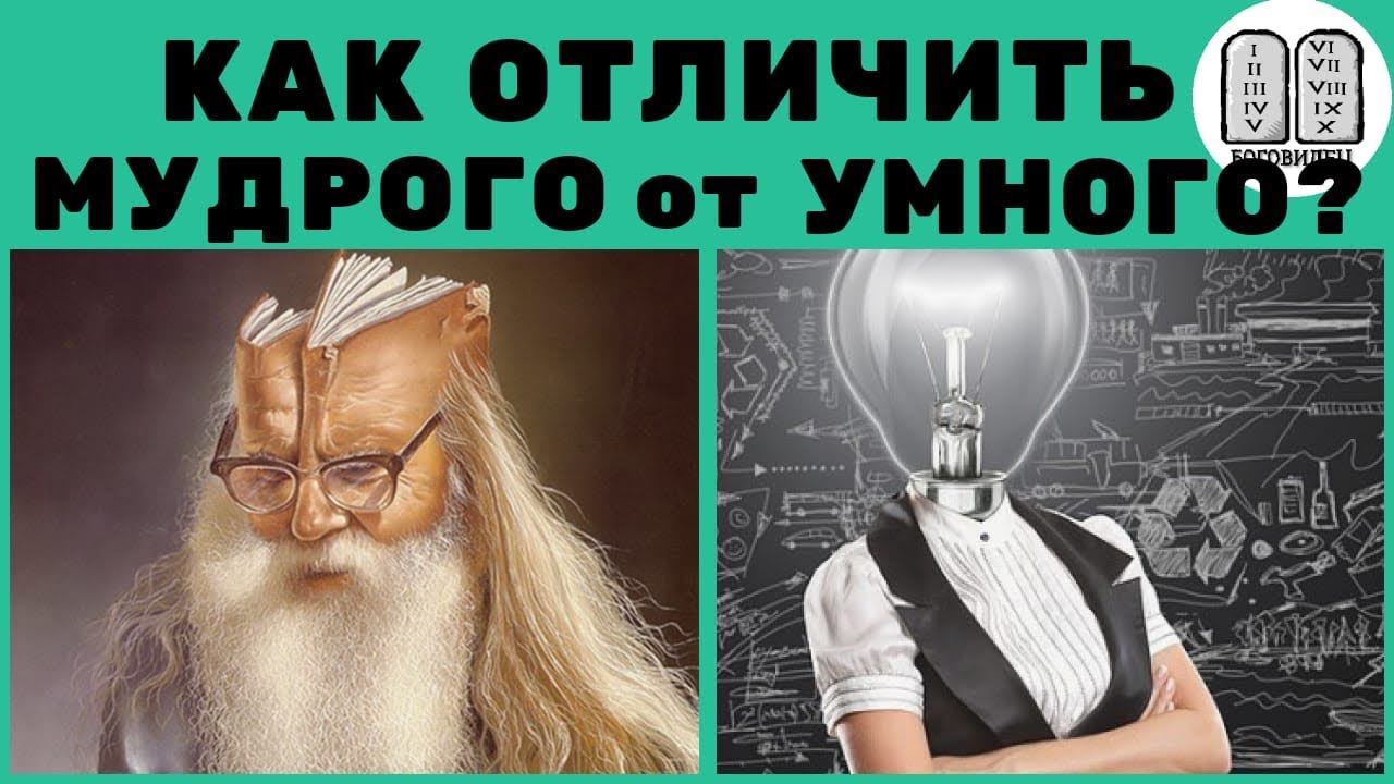 Мудрость и Знание как отличить? Максим Каскун