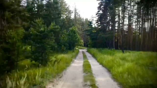 Дорога из Рязани в Солотчу. Июнь 2020. смотреть онлайн