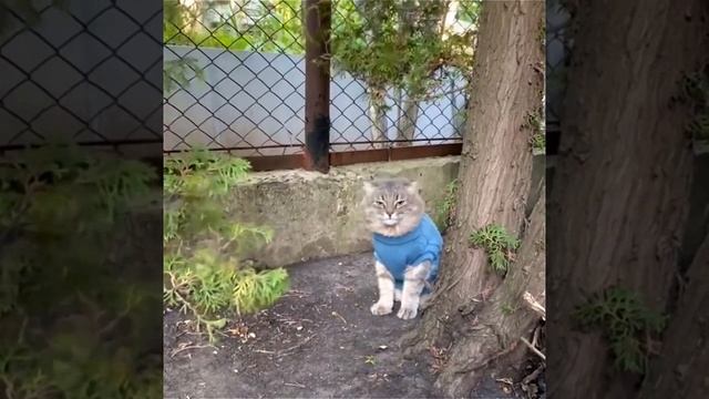 Сынок, мне тут птичка напела, что ты куришь. смотреть онлайн