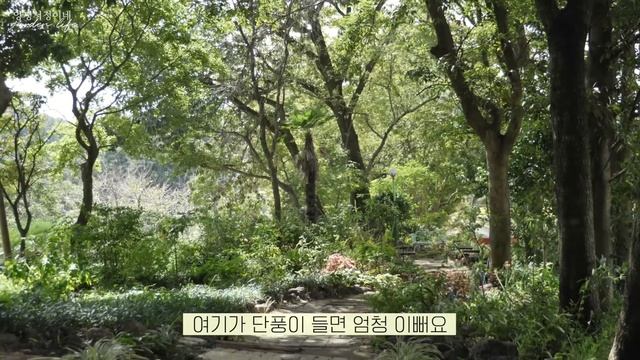 [남의집정원구경] 그림 그리듯이 정원을 가꿔요! 전남 순천  3천평 정원 '화가의 정원산책'