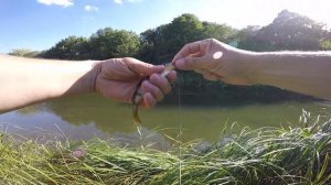 Мормышинг в бесклевье летней жары