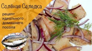 Соленая селедка! Домашний посол! Рецепт вкусной рыбы!