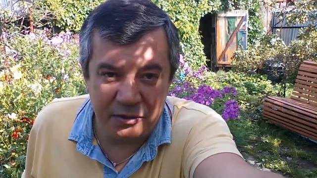 О драке и русской литературе смотреть онлайн