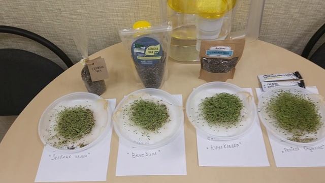 Эксперимент. Семена Чиа. Какие самые свежие и качественные? Часть 2. смотреть онлайн