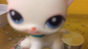 Клип к сериалу ,,дикий ангел''