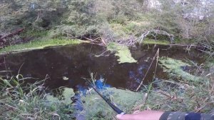 Ручьевая форель на спиннинг. Где , на что и как ловит ручьевую форель в малой реке.