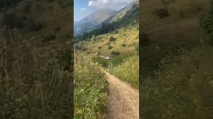 Дорога Верхний Чуб - водопад Пшехский (Водопадистый). 26.08.2023. часть 1
