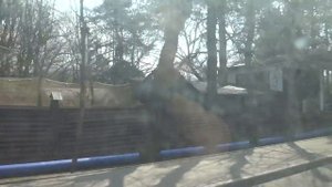 Москва, микроавтобус 33к, участок м. Ботанический сад - Павильон Центральный