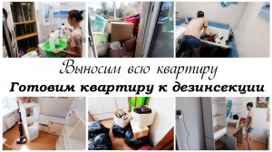 Готовим квартиру к дезинсекции Мотивация на продуктивность