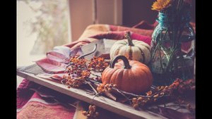 #101cottontoys2  Отчет 2. 0/101  Продвижения по зайке, начала кота