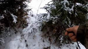 ЖУТКОЕ СУЩЕСТВО: МЕСТО ГДЕ ОНО ПРЯТАЛОСЬ, 20 ДНЕЙ СПУСТЯ В ТАЙГЕ