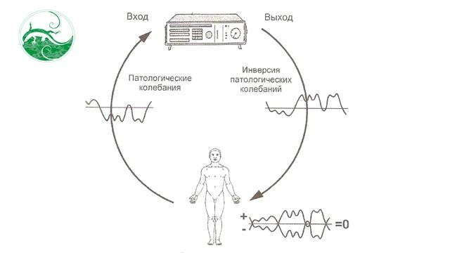 Биорезонансная терапия - 3 основных вида.