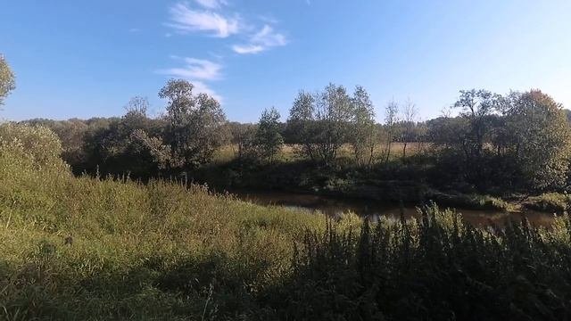 Кашинка